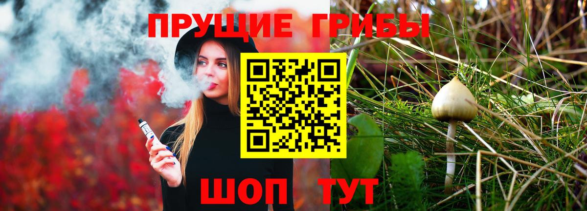 Шелехов  Галлюциногенные грибы Magic Shrooms  Вход с VPN 