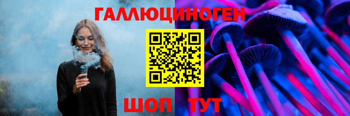 Галлюциногенные грибы Cubensis Шелехов